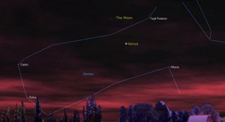 Starry Night graphic showing the placement of the moon above Venus before sunrise.
