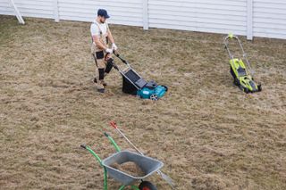 A man using a scarifier on a lawn with a wheelbarrow for the moss nearby