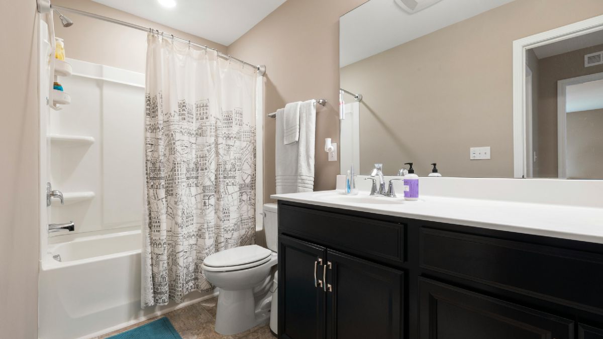 Shower curtain