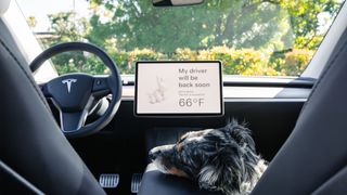 Tesla Model Y interior