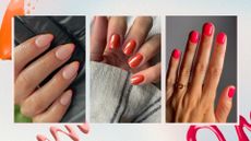 A collage of sunset nails: on the left, is a close-up of hand with orange and pink ombre French tip nails by nail artist, Fliss Alton (@gelsbyfliss), then on the right, is a picture of another hand with dark orange chrome nails by nail artist Megan Rose(@gel.bymegan) and finally, a hand with a hot pink manicure by nail artist, Mateja Novakovic (@matejanova). All are featured in a blue, pink and yellow gradient template with orange, peach and pink nail polish spills.