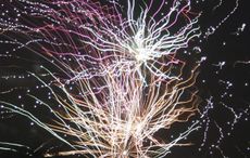 fireworks petition