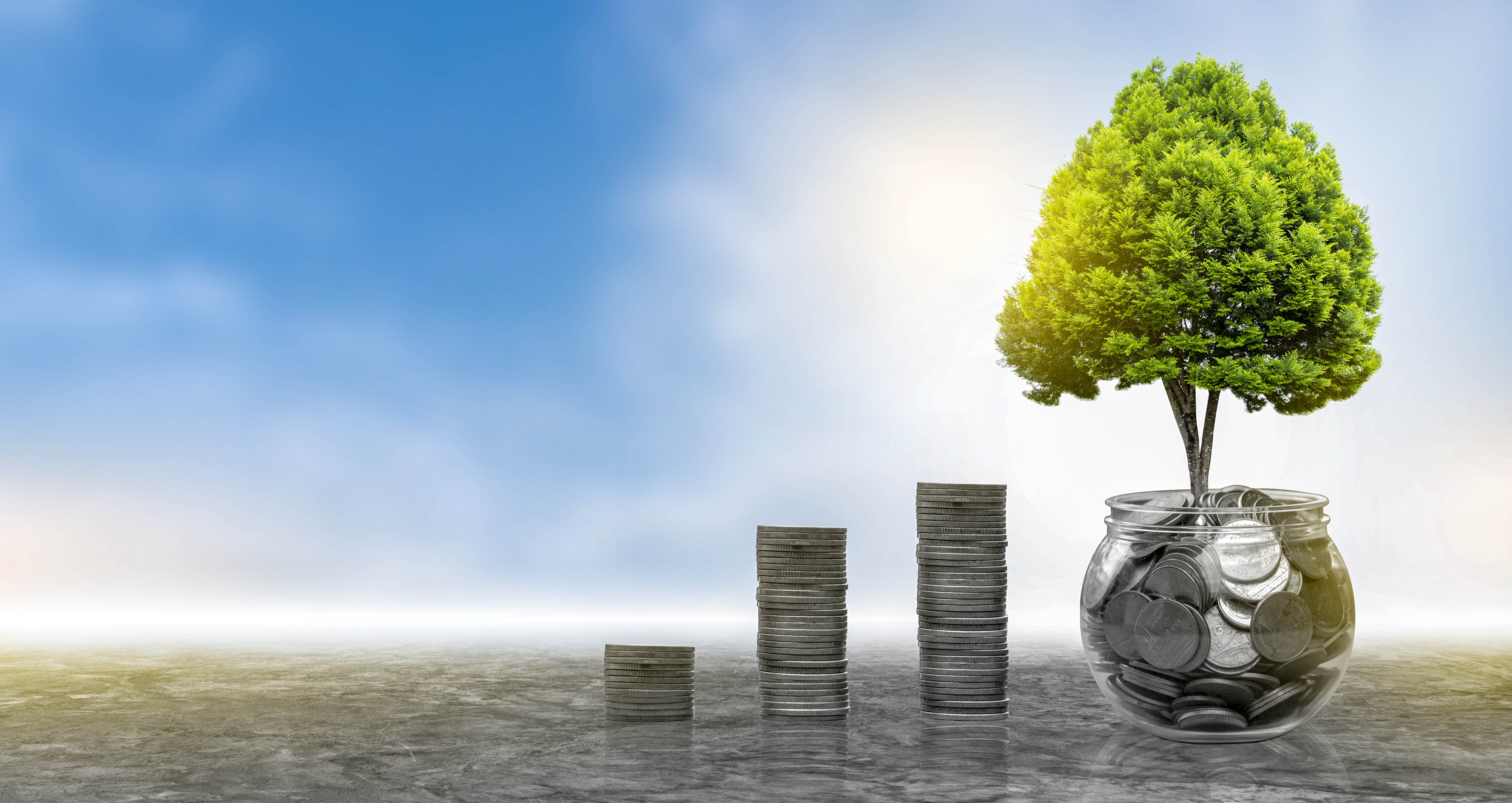 The tree is growing along with investments on the investors' desk.