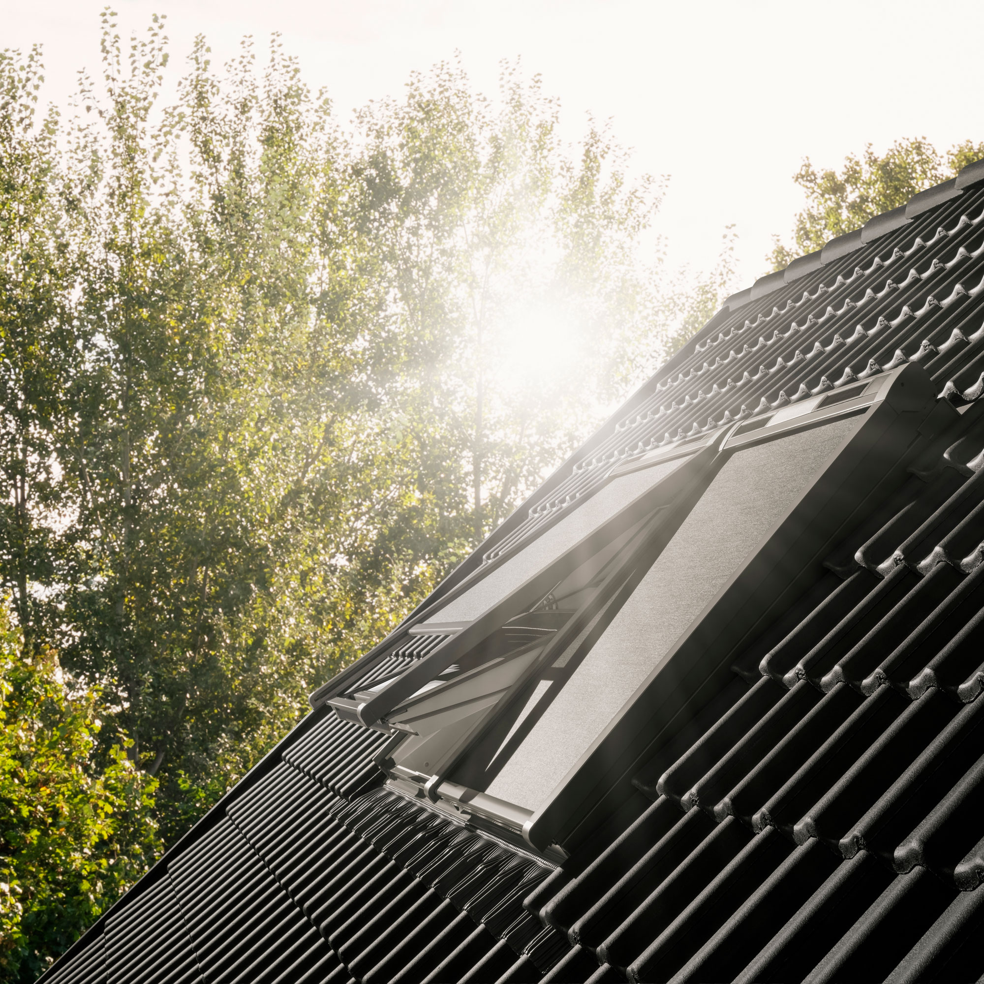 slate roof with Velux windows