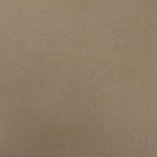 mid-brown paint swatch