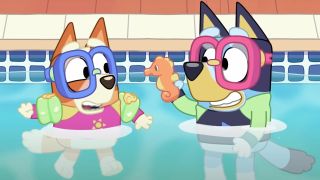 Bingo and Bluey in the pool