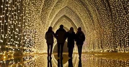 Christmas lights trails 2020: Tunnel of Light, festive trail