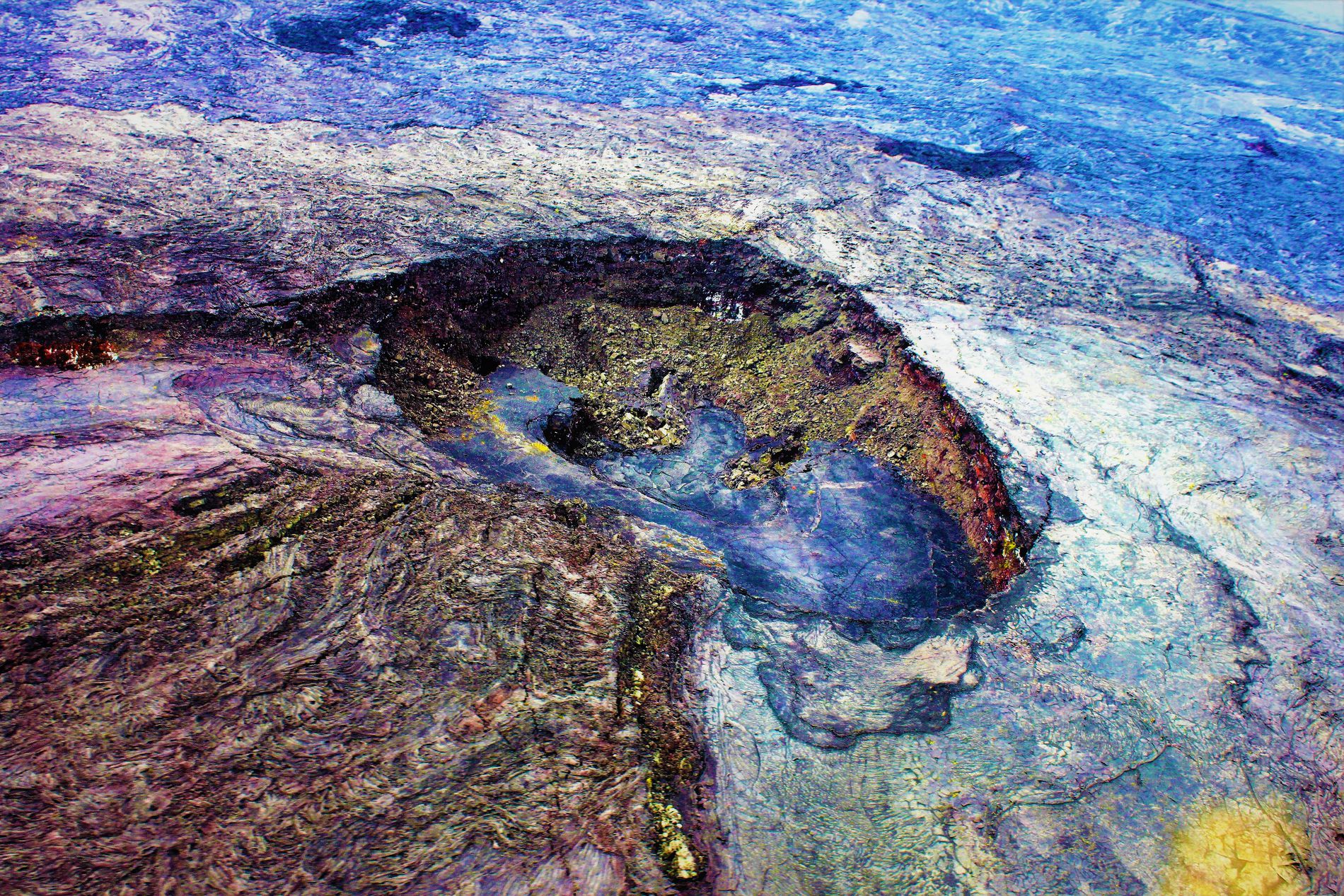 GuruShots - February 2026