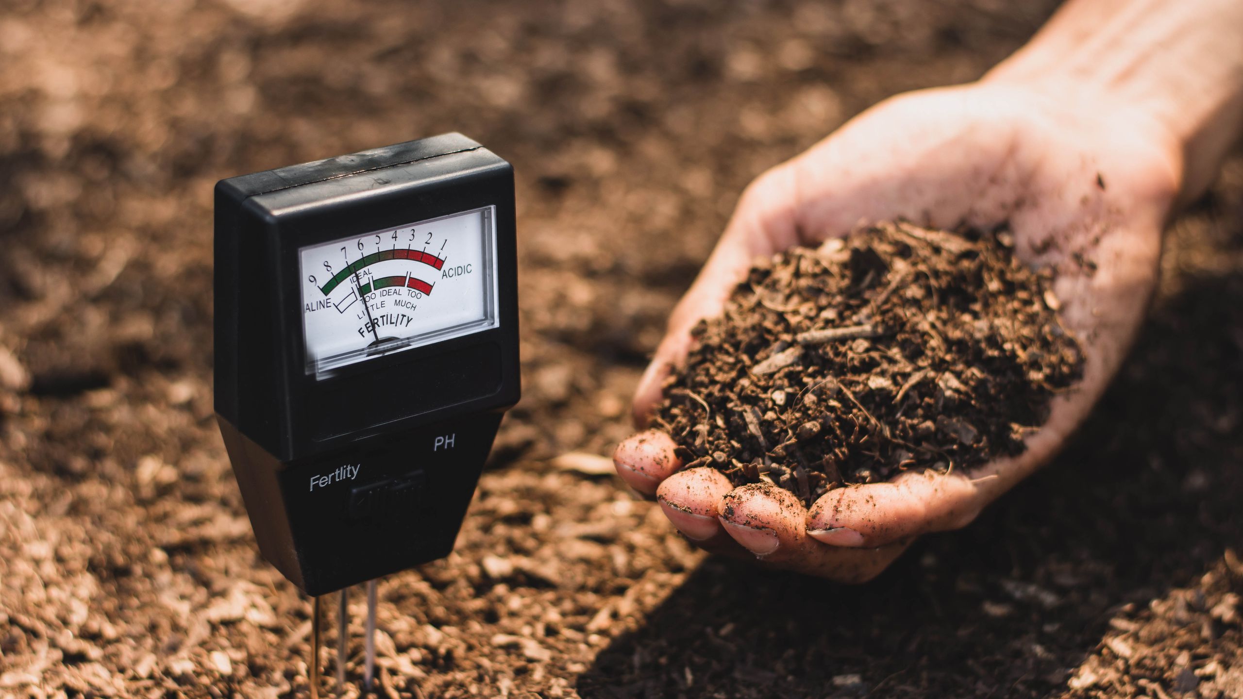 I asked gardening experts why my soil is ruining my yard &mdash; here's what they said and how you can fix it today