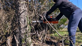 I got to work on some smaller trees and branches first. The chainsaw cut through them quickly and efficiently.