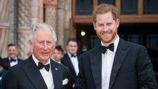 King Charles's 'twinge in his heart' has been revealed as Prince Harry rejects his recent invitation to a family celebration
