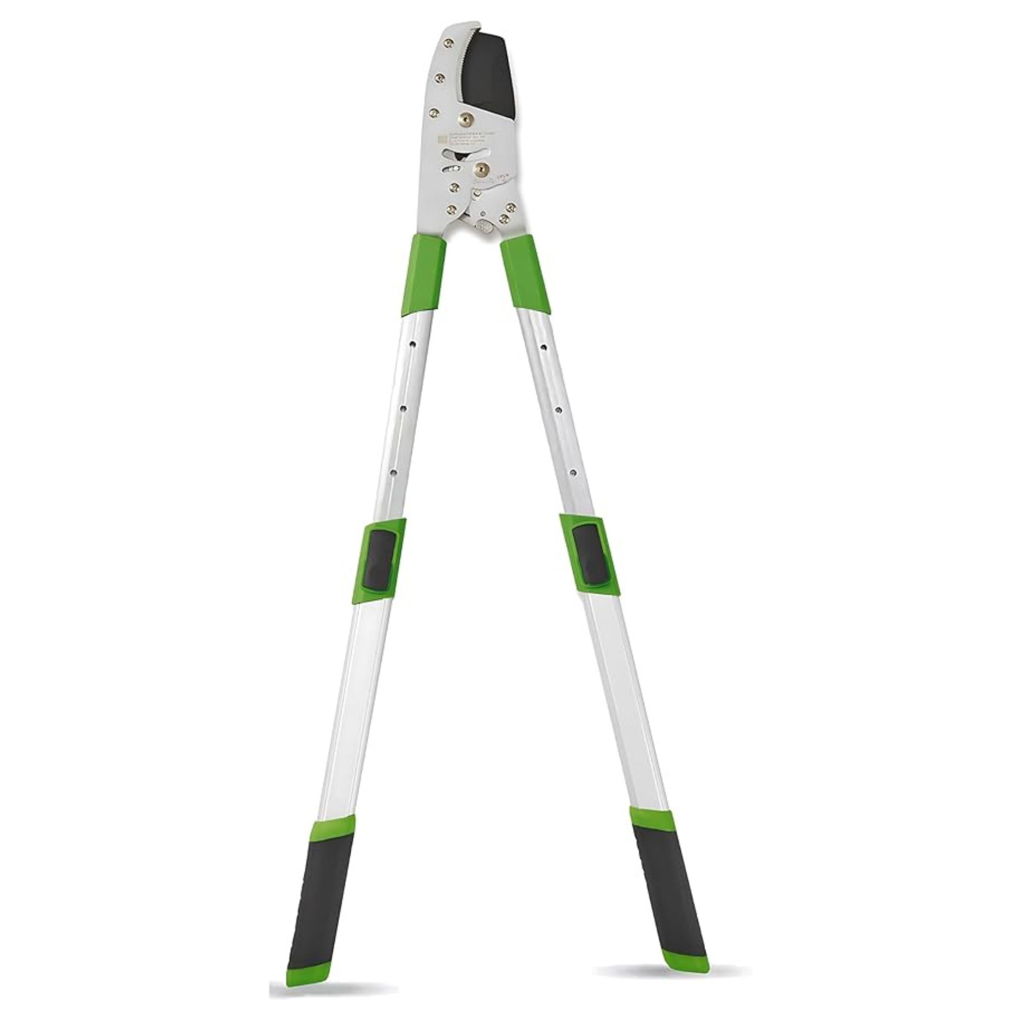 tree loppers