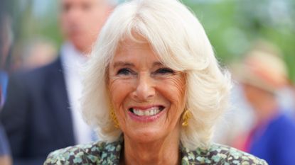 How Queen Camilla spent her solo time recently. Seen here during her visit to the Antiques Roadshow