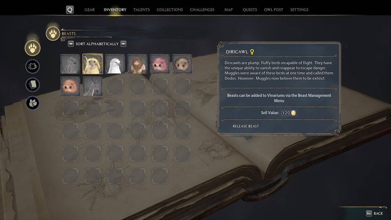 Hogwarts Legacy Diricawl in inventory