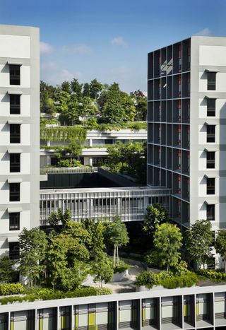 Kampung Admiralty by WOHA completes in singapore