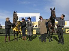 Sprinter_Denman-high.jpg