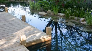 natural swimming pool with wooden jetty