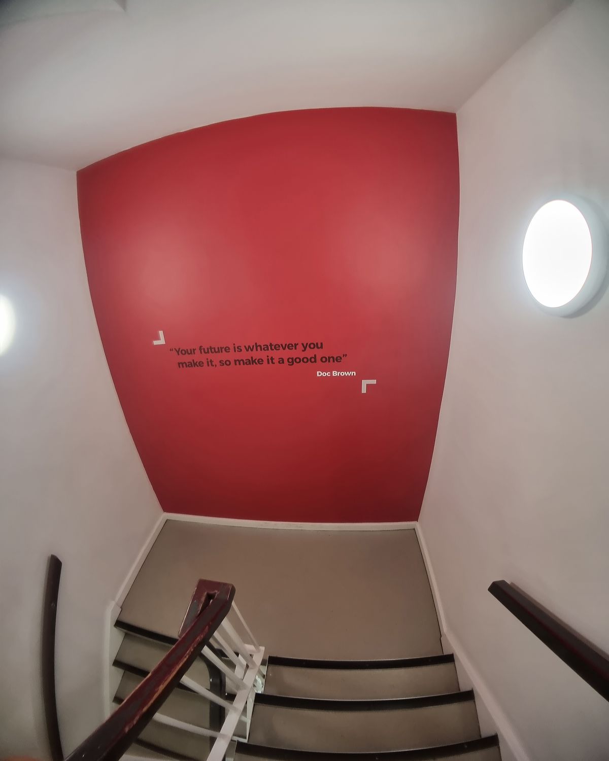 Moment Fisheye Lens Review