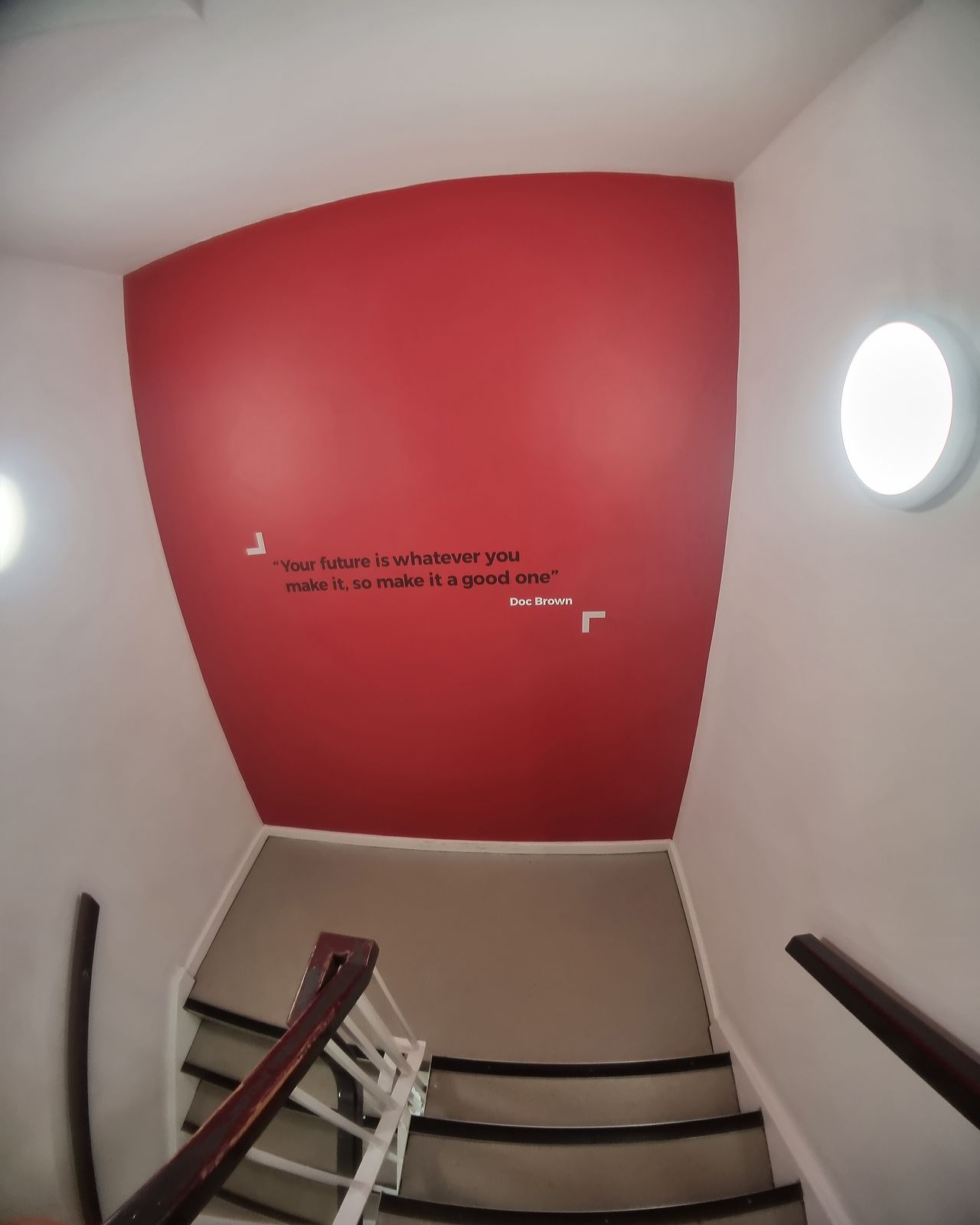 Moment Fisheye Lens Review