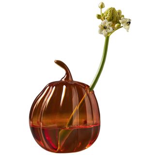 Pumpkin shaped glass vase