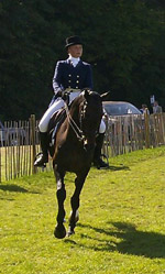 Upright%20dressage.jpg