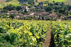 Champagne Marie-Courtin
