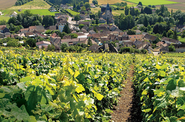 Champagne Marie-Courtin