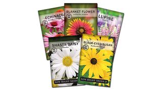 Sow Right Seeds Perennial Flower Garden Collection