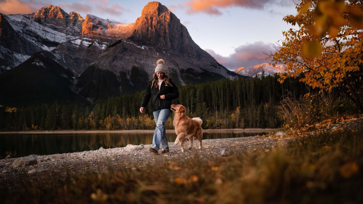 Dog and owner in scenic mountainous countryside.