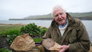 David Attenborough posing with a fossil to promote his Giant Sea Monster show