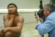 Reconstruction of a neanderthal.