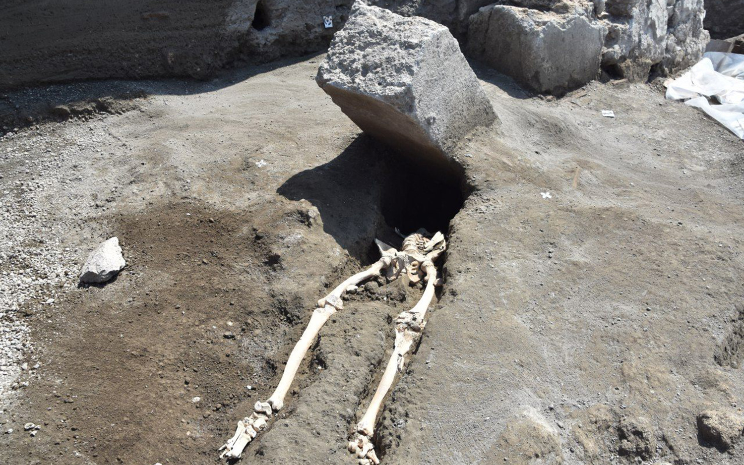 pompeii bodies dog