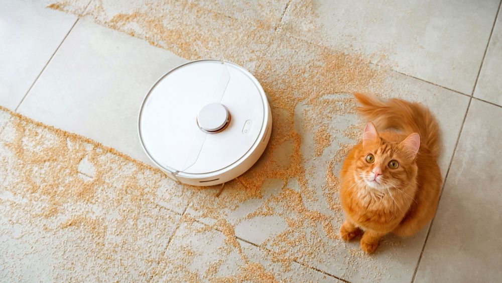 Robot vacuums are great, but they can’t tackle every cleaning job