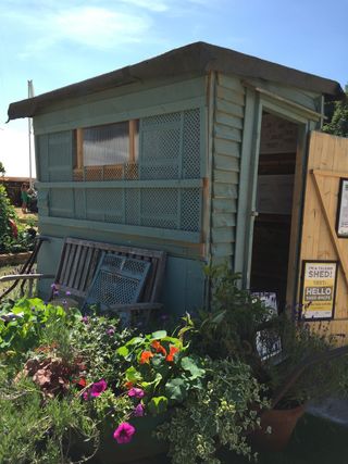 Shed on allotment garden exhibit at RHS Hampton Court Palace Flower Show