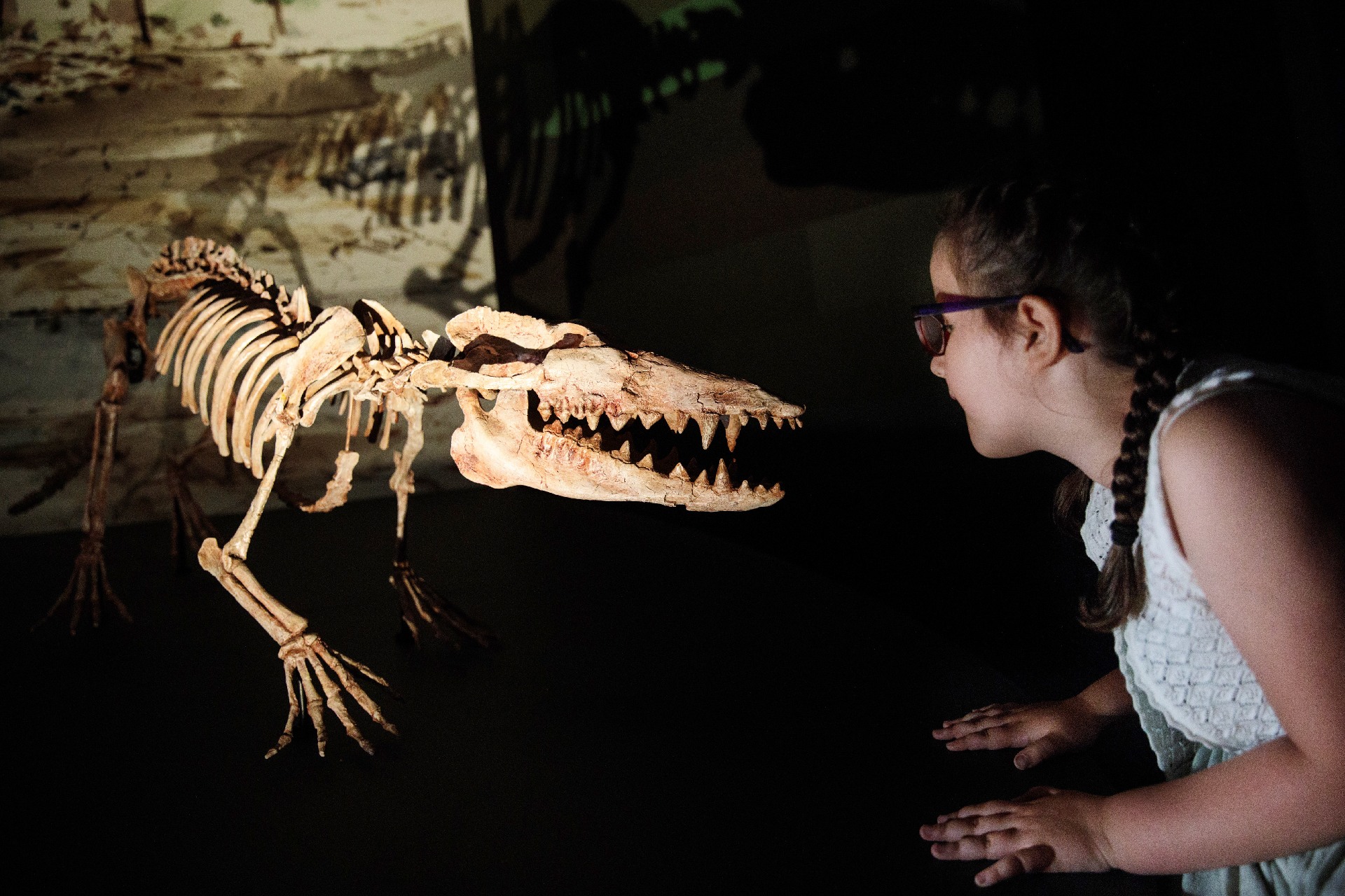 A young girl poses with a Pakicetus skeleton cast on display at the Natural History Museum.