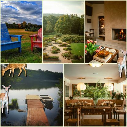 Scenes from the Northern Catskills