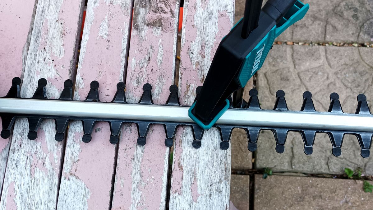 How to sharpen hedge trimmer blades quickly and safely Homebuilding