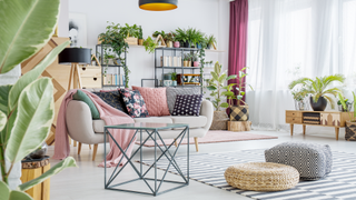 Living room with plants