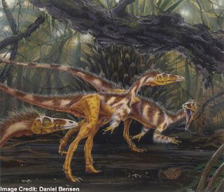 Compsognathus, avian ancestor, flying dinosaur,