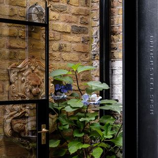 brick wall plant and glass door