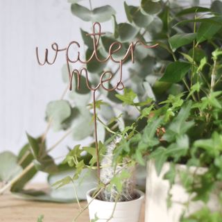 Water me plant topper