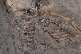 A close up of the child's skeleton