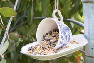 Easy crafts for kids illustrated by Teacup bird feeder craft idea