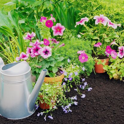garden bed with watering can, flowers, containers and a large space in earth for planting