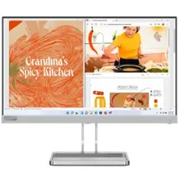  Lenovo L22i-40 Monitor