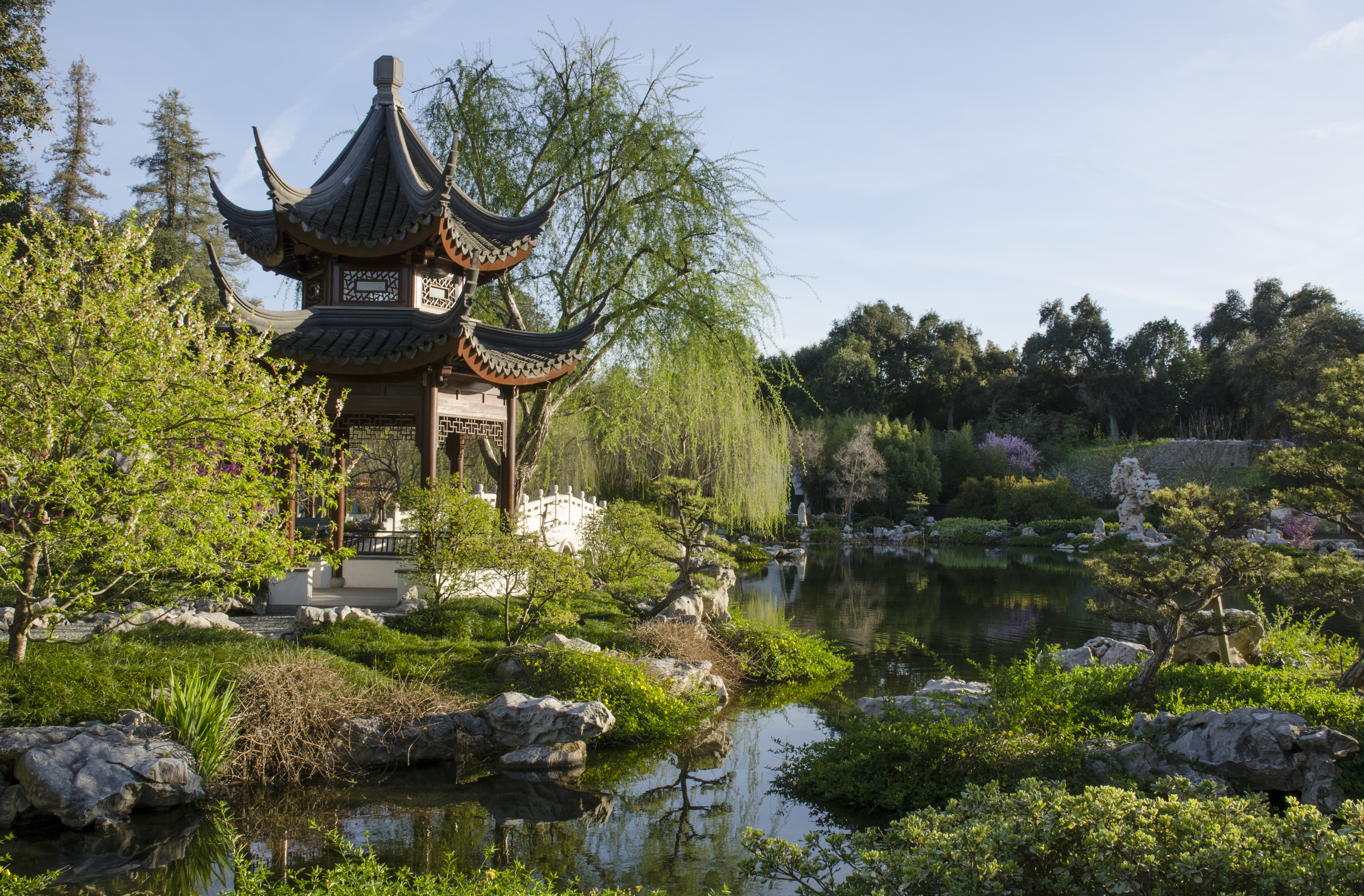 An Asia-inspired botanical garden showcases a wood, tile, and iron pagoda immersed in lush greenery and sited above a blooming lake at dusk.