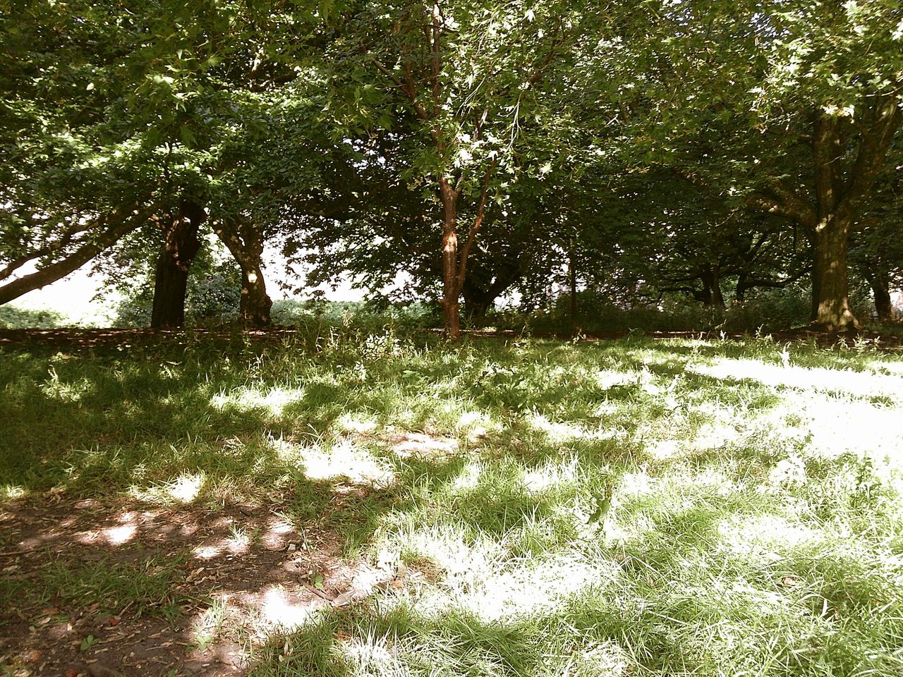 Image taken using the Camp Snap 2