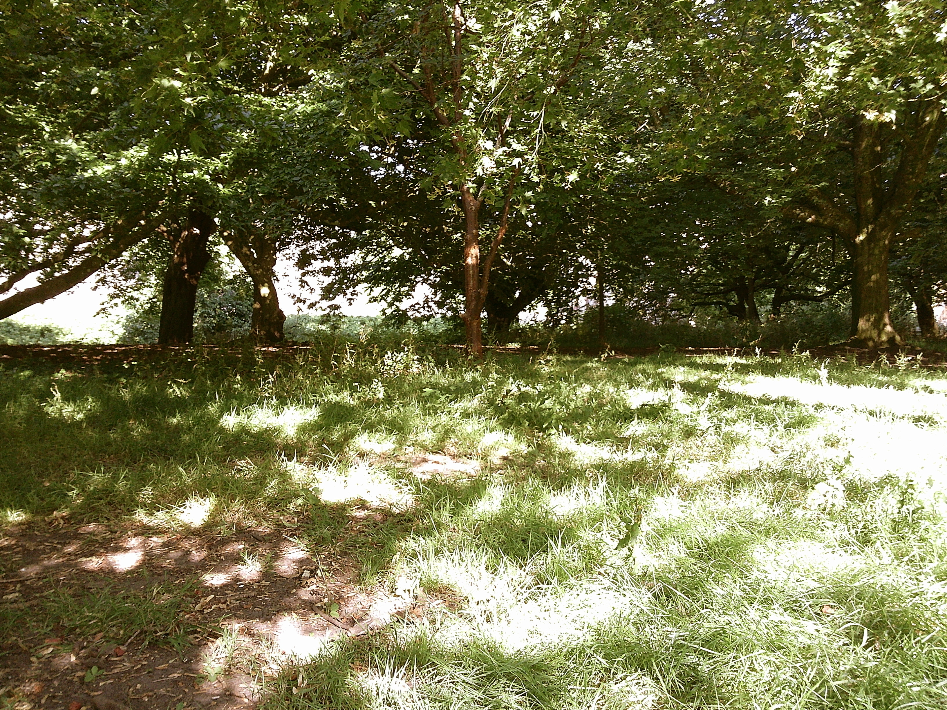 Image taken using the Camp Snap 2