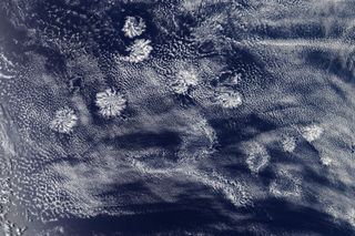 An instrument on NASA's Aqua satellite captured this image of actinoform clouds form near Australia on Jan.29.. 