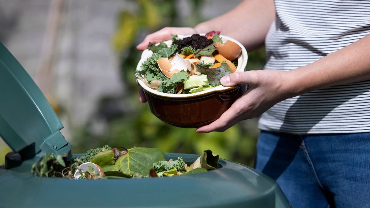 Why are there maggots in my house? Pest experts explain Homes & Gardens